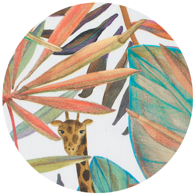 safari